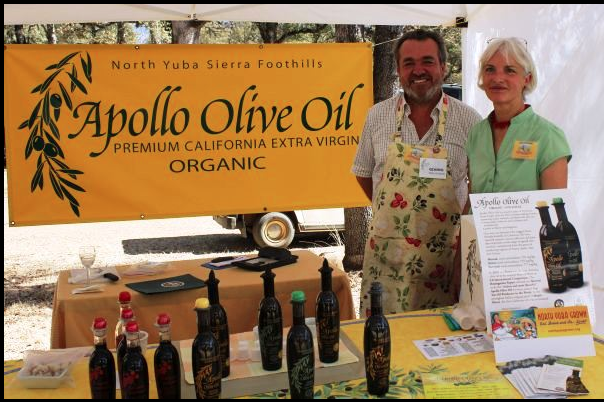 Apollo Olive Oil